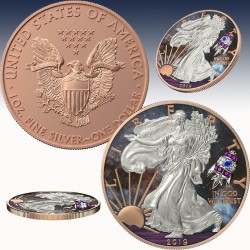 1 x 1oz Silbermedaille 1$ USA...