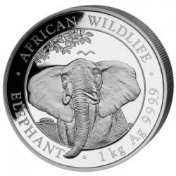 1 x 1 Kg Silbermünze 2000 SH "Somalia...