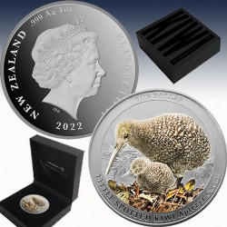 1 x 1 oz Silber 1$ Neuseeland "Kiwi...