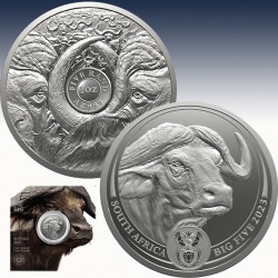 1 x 1 oz Silbermünze 5Rand Südafrika...