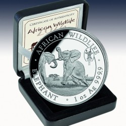 1 x 1 oz Silbermünze 100 SH "African...