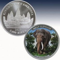 1 x 1 Oz Silbermünze 3000 KHR...