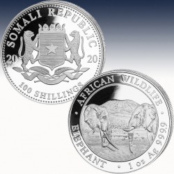 1 x 1 oz Silbermünze 100 SH "Somalia...